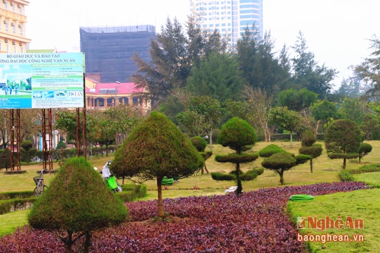 Thảm cỏ và cây xanh, sóng biển và gió trời ...thị xã Cửa Lò đang chào đón mùa du lịch 2016