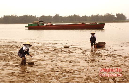 Khi thủy triều rút cũng là thời điểm thích hợp để người dân Hưng Lam cào xúc hến trên lớp bùn bãi cạn