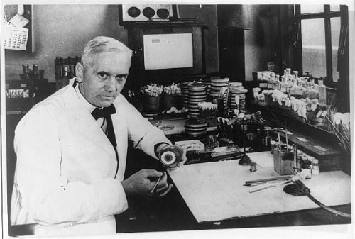 Alexander Fleming trong phòng thí nghiệm. Ảnh: loc.gov.