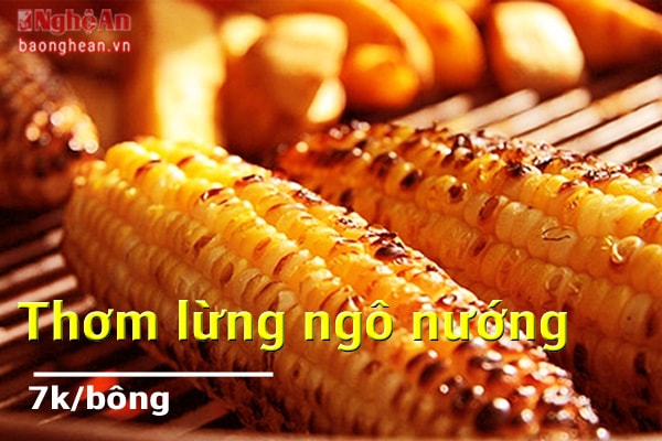 Đêm về, thử chút hương khuya thành Vinh với ngô nướng vỉa hè. Dọc đường Trường Thi, đường Lê Hồng Phong, chợ đêm Thành cổ … đều ăm ắp những sạp ngô nướng cay cay, bùi bùi. Gió đêm mát rượi, tán gẫu cùng bạn bè dăm ba chuyện phiếm rồi nhẩn nha bắp ngô khép trọn một vòng ẩm thực thành Vinh, còn gì bằng?