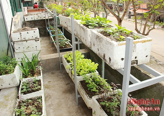 Mỗi thứ một ít