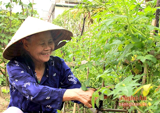Bà Nguyễn Thị Trâm