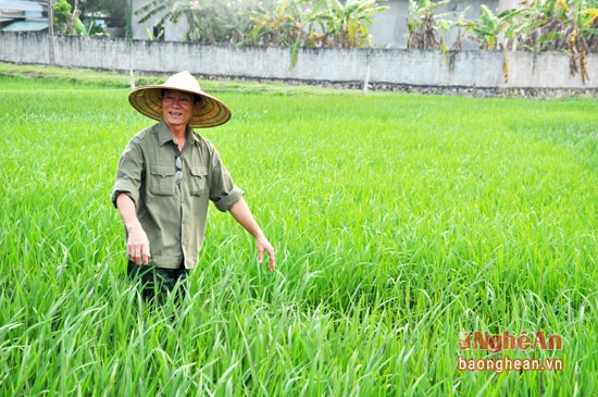 Ông Phạm Văn Hòa 