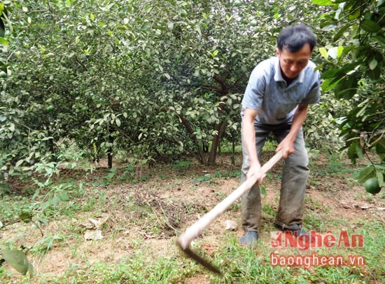 Hoàng Đức Khánh 
