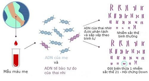 mau-me-tiet-lo-bi-mat-thai-nhi-1