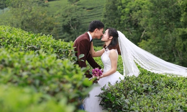 Chụp ảnh cưới trên đồi chè đang là 