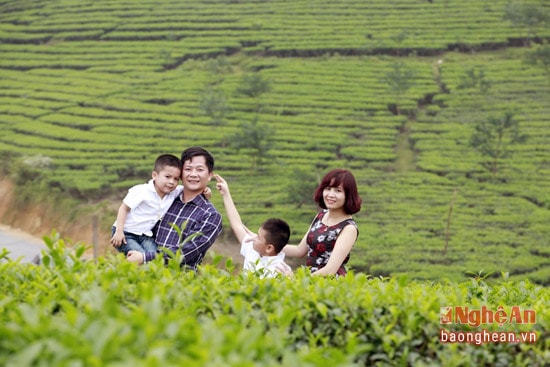 Nhiều gia đình cũng chọn đồi chè làm nơi lưu giữ những khoảnh khắc hạnh phúc đáng nhớ