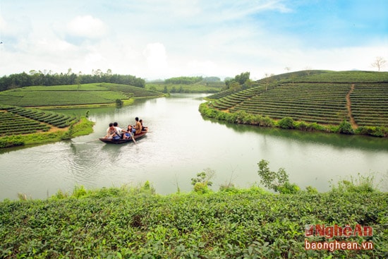 Chọn đi thuyền để ngắm đảo chè