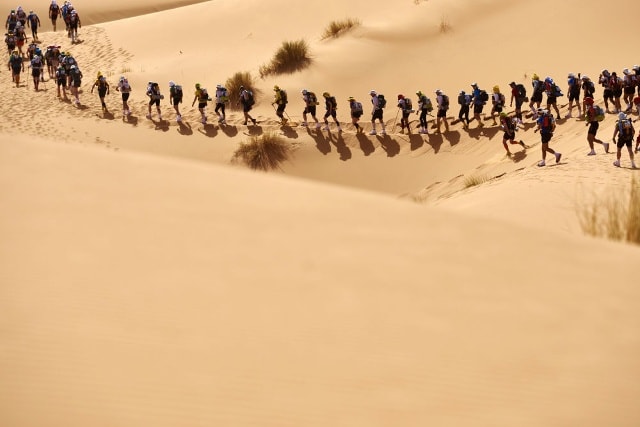 c thành viên tham gia cuộc chạy đua marathon theo vùng sa mạc Sahara thuộc Marocco.