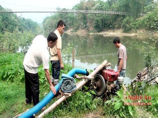 Chi nhánh Thủy lợi Quế phong hỗ trợ máy bơm và dầu cho bà con bơm nước cho những diện tích lúa bị hạn