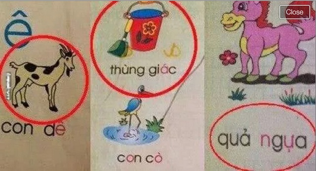 Thùng giác? Quả ngựa?