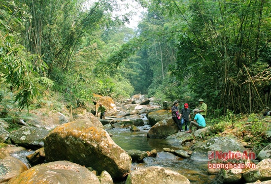 Sự đang dạng trong khu rừng thuộc Khu bảo tồn thiên nhiên Pù Hoạt phần lớn mang đặc điểm của những khu rừng nhiệt đới. 