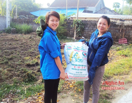 Hỗ trợ phân bón cho bà con để trồng cỏ voi. 