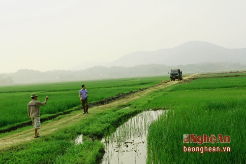 Hạ tầng giao thông thủy lợi tại cánh đồng Giớt ( nơi thực hiện chuyển đổi đất cho người dân bị ảnh hưởng) đã và đang được đầu tư để đảm bảo sản xuất
