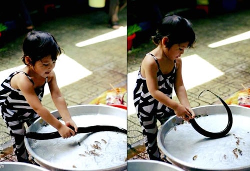 Bé còn được đưa ra chợ để mua lươn và tự tay bắt lươn cho vào túi. 