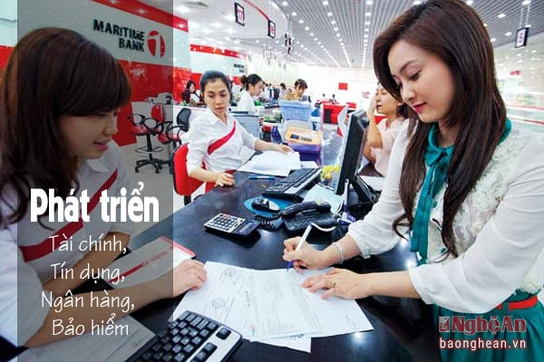 Phát triển hệ thống tín dụng, ngân hàng theo hướng đa dạng hóa các loại hình dịch vụ: Kiểm toán, bảo hiểm, cho thuê tài chính, tư vấn tài chính, thị trường chứng khóan, giao dịch bất động sản quy mô vùng.