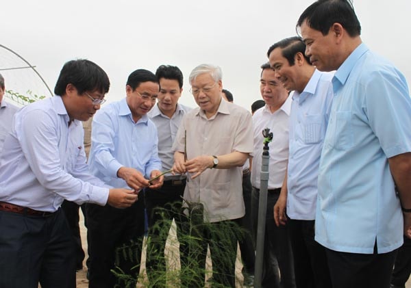 Tổng Bí thư Nguyễn Phú Trọng và đoàn công tác của Trung ương tham quan Dự án trồng rau, củ, quả công nghệ cao trên cát hoang hóa bạc màu vùng bãi ngang ven biển ở xã Thạch Văn, huyện Thạch Hà, tỉnh Hà Tĩnh - See more at: http://www.sggp.org.vn/thongtincanuoc/mientrung/2016/4/418861/#sthash.bRov4RDk.dpuf