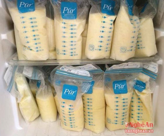 Tủ lạnh tích trữ sữa đông của một thành viên ở xã Nghi Ân, Thành phố Vinh