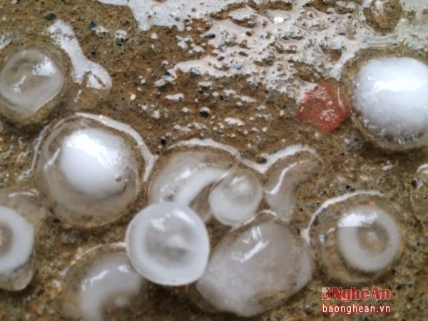 Mưa đá to bằng viên bi