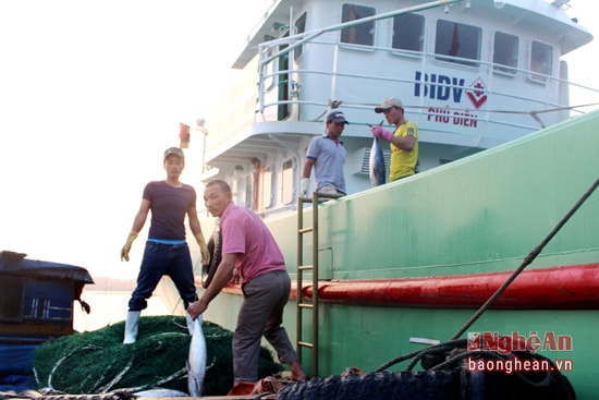 Thuyền cập bến sau chuyến bám biển dài ngày