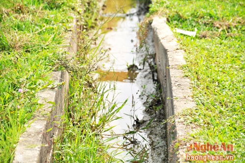 Theo tiêu chí nông thôn mới, Châu Tiến có 10,5km kênh mương nội đồng đảm bảo cho việc cung cấp nước vào đồng ruộng, thế nhưng do thiếu nước nên mấy tháng nay những con kênh này