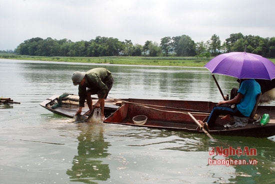 lưới