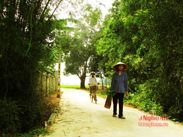 Chỉ cách thị trấn Yên Thành chừng 3km nhưng làng Nam Chính mang một không gian yên bình, trầm lặng. Những tất bật, chộn rộn của cuộc sống như bị đẩy lại phía sau.