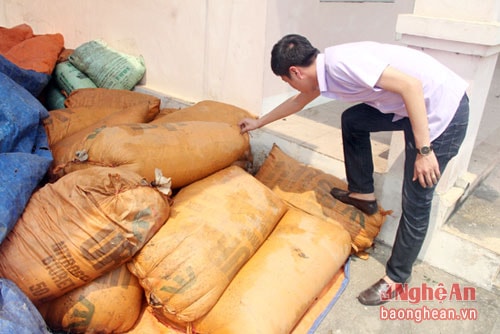 Phát hiện măng bẩn tại xã Hưng Chính, Thành phố Vinh ( ảnh Phạm Bằng)