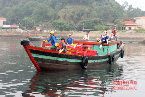 Những chiếc thuyền đầy cá cập bến mang theo niềm vui của một chuyến đánh bắt bội thu.