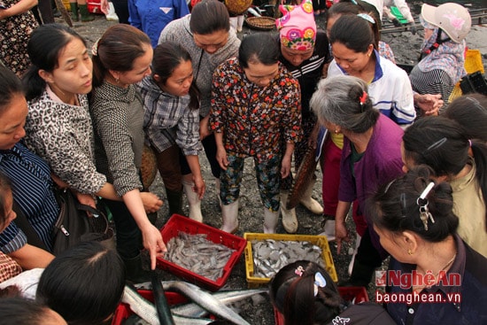 Đông đảo người dân chen chúc nhau mua những mớ cá tươi ngon mới được đánh bắt về.