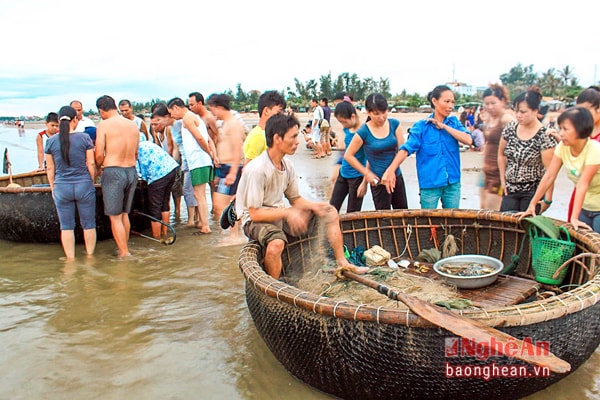 In recent days, a lot of tourists have visited and bought sea foods on Cua Lo beach.