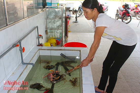 Các nhà hàng dọc bãi biển đã chuẩn bị lượng hải sản lớn, tươi ngon phục vụ du khách dịp nghỉ lễ (Ảnh: Nguyệt Minh) 