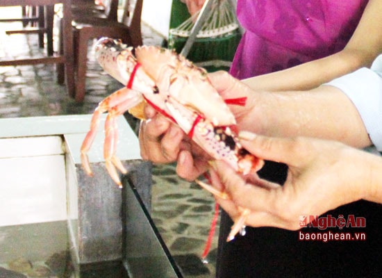 4.Dịp lễ, nhiều mặt hàng tăng giá nhẹ, trong đó ghẹ tăng thêm 70.000 đồng/kg