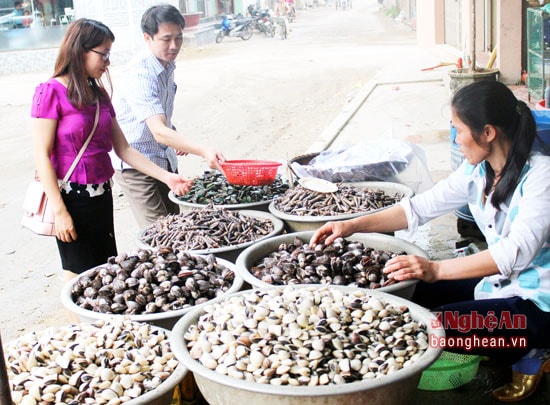6.Sau một đêm nghỉ ngơi, du khách có thể hòa mình vào phiên chợ bến nhôn nhịp vào lúc 5 giờ sáng ở lạch Cờn. Vừa có thể mua được rất nhiều hải sản tươi ngon, vừa là một trải nghiệm đáng nhớ.