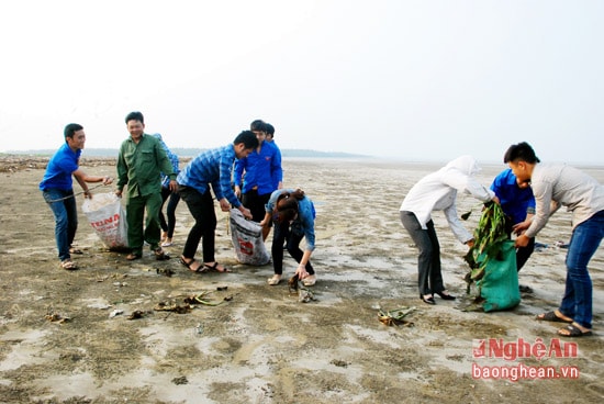 Tổng dọn vệ sinh bãi biển Diễn Thành