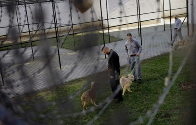 Những tù nhân và con chó mà mình huấn luyện tại nhà tù Debrecen ở Hungary. Ảnh: AFP