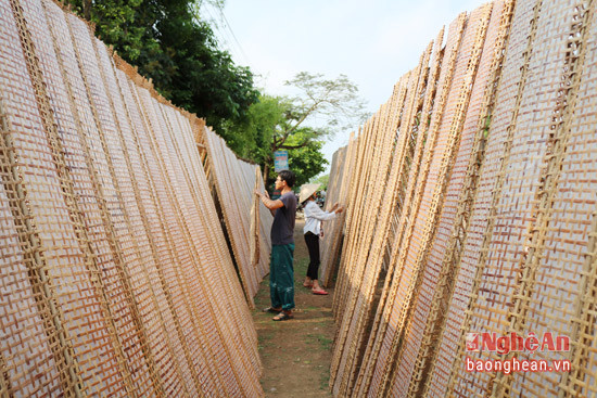 Nghề làm bánh đa nem đã tạo công việc cho không ít lao động trong làng