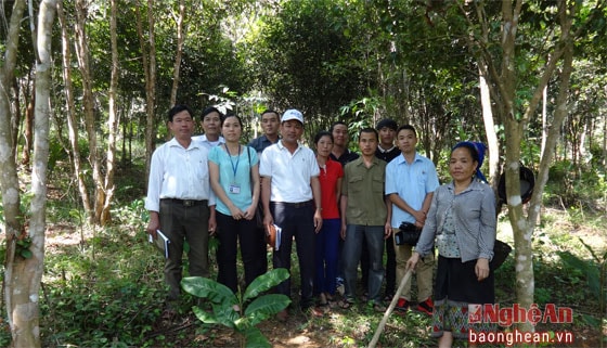 Thầy Toàn (giữa, áo trắng) cùng bà con xã Tà Cạ huyện Kỳ Sơn đi thực tế về cây bo bo