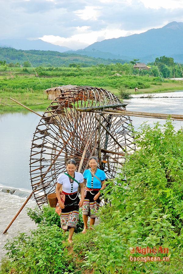Cọn nước Châu Tiến, Quỳ Châu. Ảnh: Trần Tố
