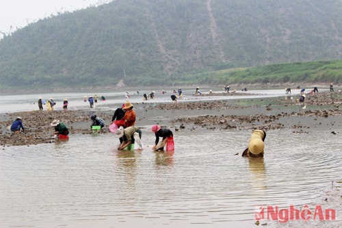Người Khánh Sơn phát hiện bãi Lòi Mồ nhiều hến và đổ xô đi bắt cách nay đã hơn 10 năm. Mùa bắt hến ở đây kéo dài từ tháng 3 cho đến kỳ lũ lụt, hàng ngày từ 8 h đến 15h, trên bãi Lòi Mồ thường có cả trăm lượt người khắp các xóm 5,6,7, 10 (Khánh Sơn1) và 1,2,3,4 (Khánh Sơn 2), đủ già, trẻ, gái, trai, tập trung về đây để bắt hến.
