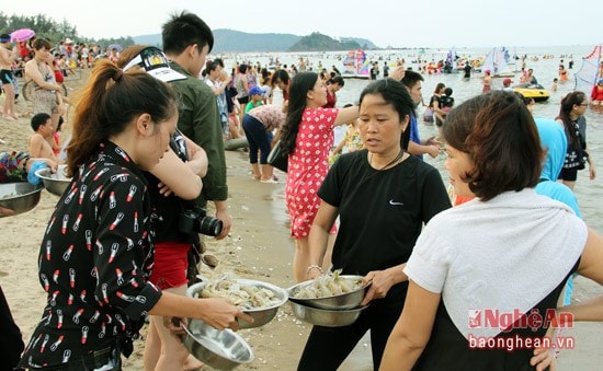 Tìm hiểu đời sống người ngư dân Cửa Lò mưu sinh, đánh bắt kinh doanh tôm cá.