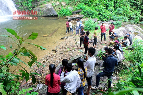  Mặc dù đến thác Mưa phải đi qua những cung đường ngoằn nghèo, nhiều khe suối, nhưng nơi đây luôn đông người đến chiêm ngưỡng, vui chơi, chụp ảnh. Despite curving routes and lots of streams on the way to Rain waterfall, it has been attracting crowds to relax and take photos.