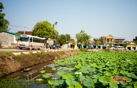 Ngay từ đầu dịp lễ 30/4 - 1/5, hàng ngàn đoàn khách trong và ngoài nước nô nức hành hương về làng Sen quê Bác. 