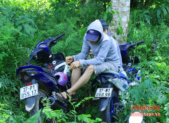 Nhiều người không gửi được xe máy đành cho xe vào vệ rừng bên đường.