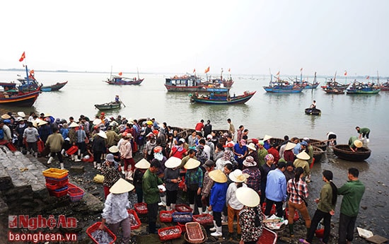 Hàng ngày, 280 tàu thuyền của ngư dân thị xã vẫn ra khơi, đánh bắt. Sáng sớm, bến cá Nghi Hải những đoàn thuyền nối đuôi nhau cập bến, sau những chuyến ra khơi