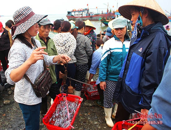 Chợ cảng cá Nghi Hải vẫn tấp nập bán mua 