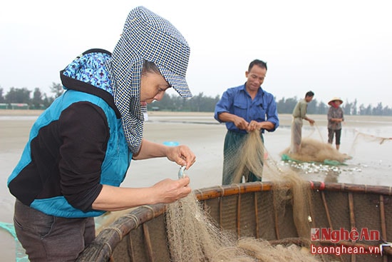 Thành quả của một ngày làm việc vất vả là cá nặng lưới đầy. Mỗi ngày gia đình ngư dân này thu được trên 1 yến cá các loại