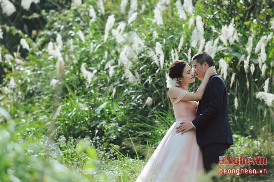 Pù Mát đang trở thành điểm đến tuyệt vời không chỉ dành riêng cho khách du lịch, còn ghi dấu ấn tình yêu của nhiều đôi trẻ hướng về thiên nhiên núi rừng xanh thẳm.