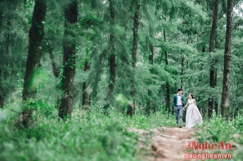 Bãi biển Cửa Hội thuộc hai phường Nghi Hải và Nghi Hoà nối liền với Thị xã Cửa Lò. Cửa Hội nằm dưới những cánh rừng phi lao xanh ngắt lộng gió, nơi đây quanh năm đắm mình trong giai điệu du dương của rừng và biển cả bao la...