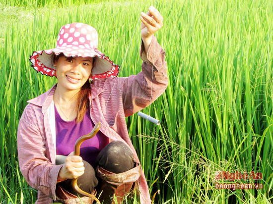 In Ke Gam village, many women go eel-fishing in their free time, not only to get an additional dish for the meals, but also to sell the eels later on.